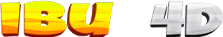 LOGO IBU4D